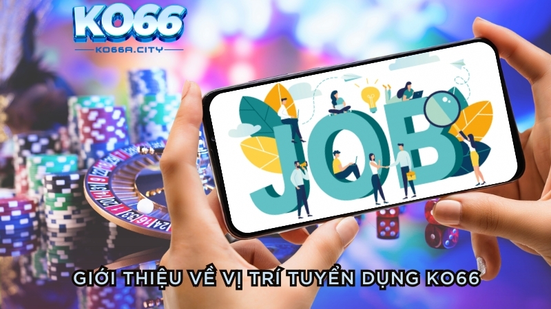 Giới thiệu về các vị trí tuyển dụng KO66